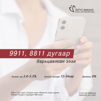Зээлийн үйлчилгээ